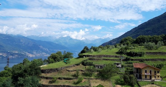 panorama