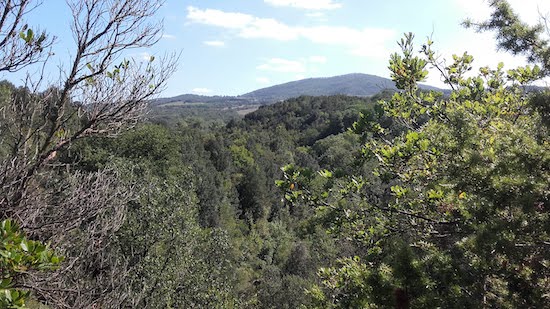 panorama