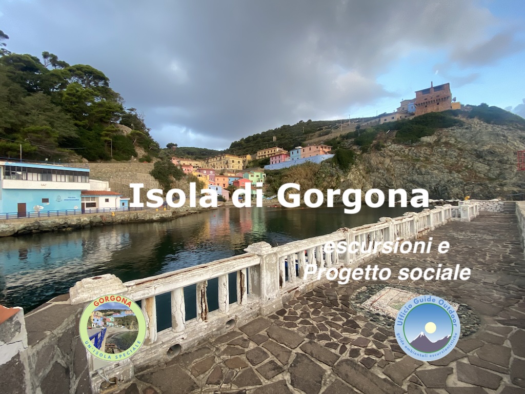 Gorgona, un'isola speciale