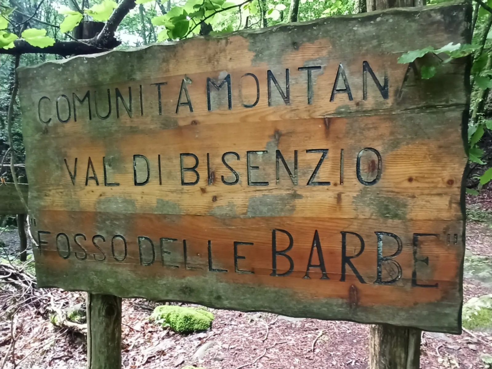 Bisenzio, alla ricerca della sorgente e del ponte medievale, tra castagne e funghi. E cantuccini!