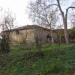 Il fondovalle di Reggello, così ricco, così bello, così dolce: l'anello di Sant'Ellero Altomena
